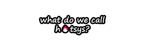 what we do call hotsys
